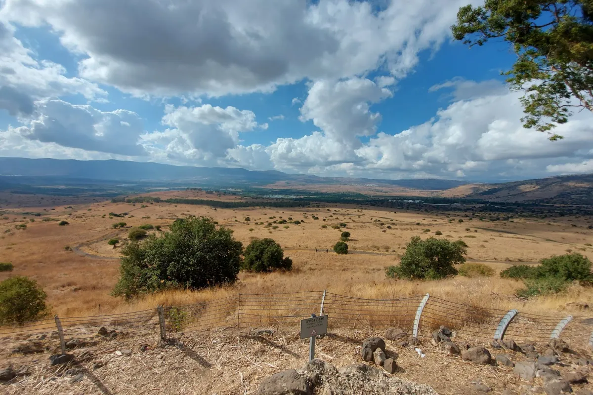מצפה גולני תל פח'ר photo 1