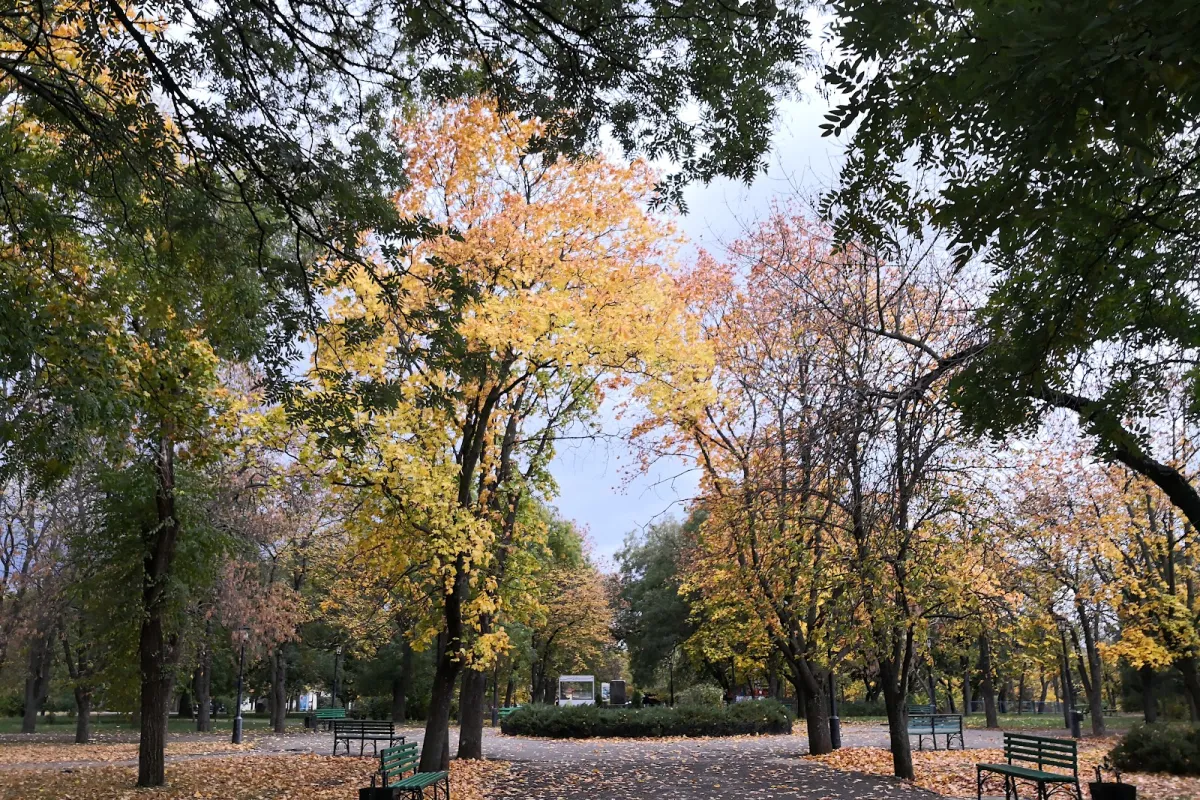 Park Narodnyi sad photo 1