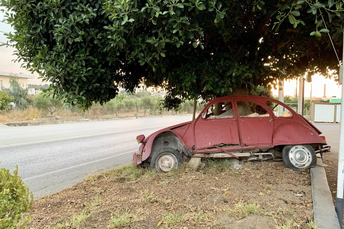 Citroen 2CV Tree photo 1