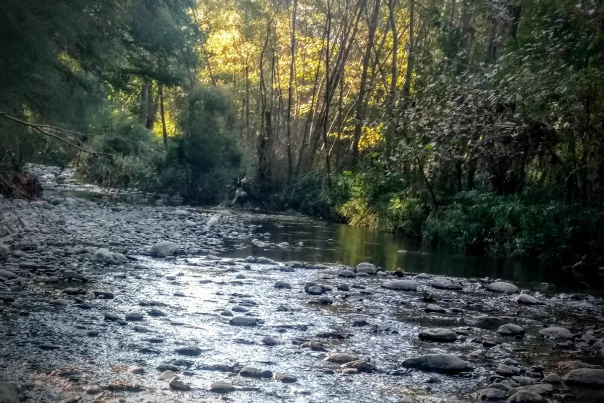 Parque Rio la silla comienzo photo 1