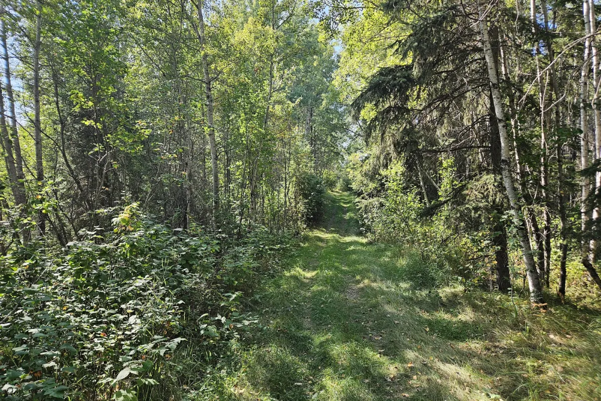 Bunchberry Meadows Conservation Area photo 1
