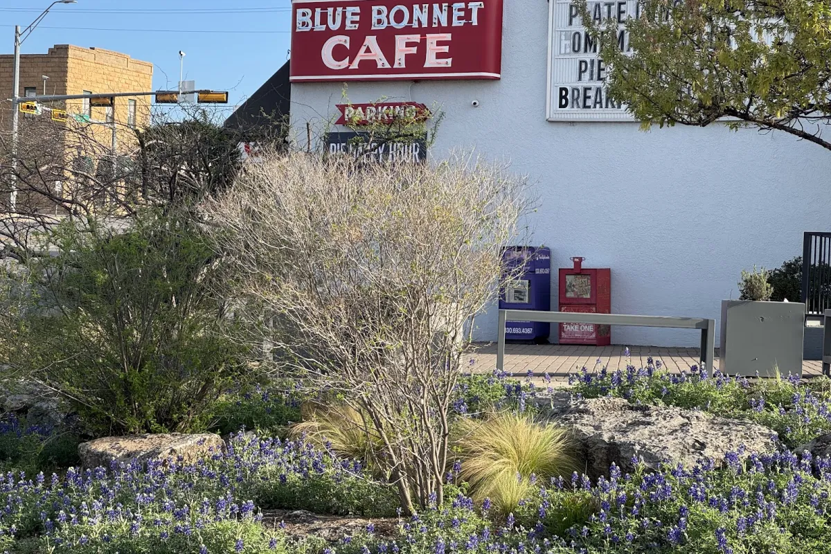 Blue Bonnet Cafe photo 1