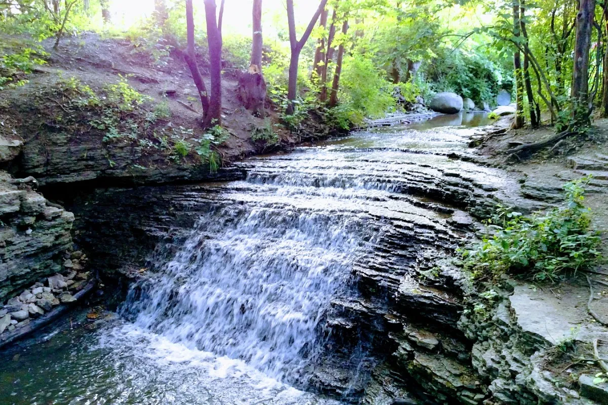Blackhawk County Forest Preserve photo 1