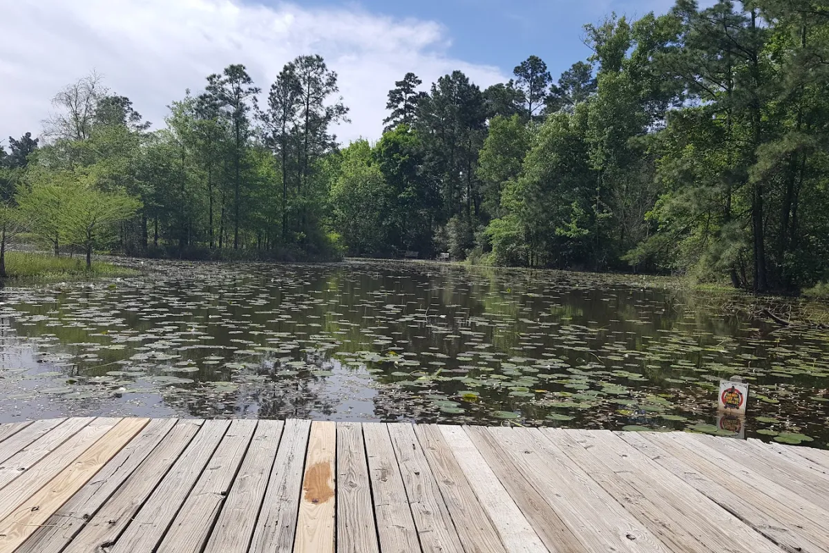 Arboretum Lake photo 1