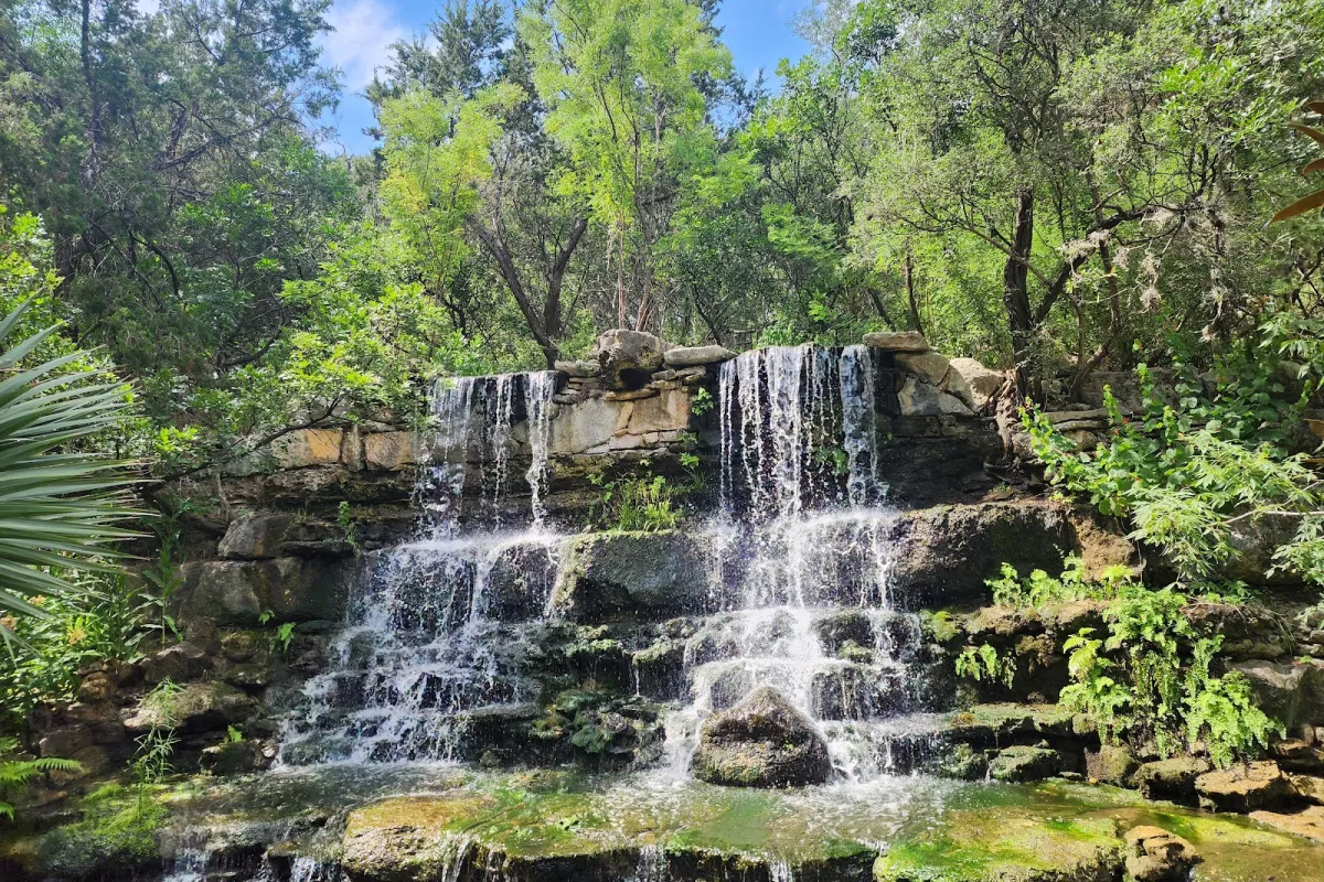 Zilker Botanical Garden photo 1