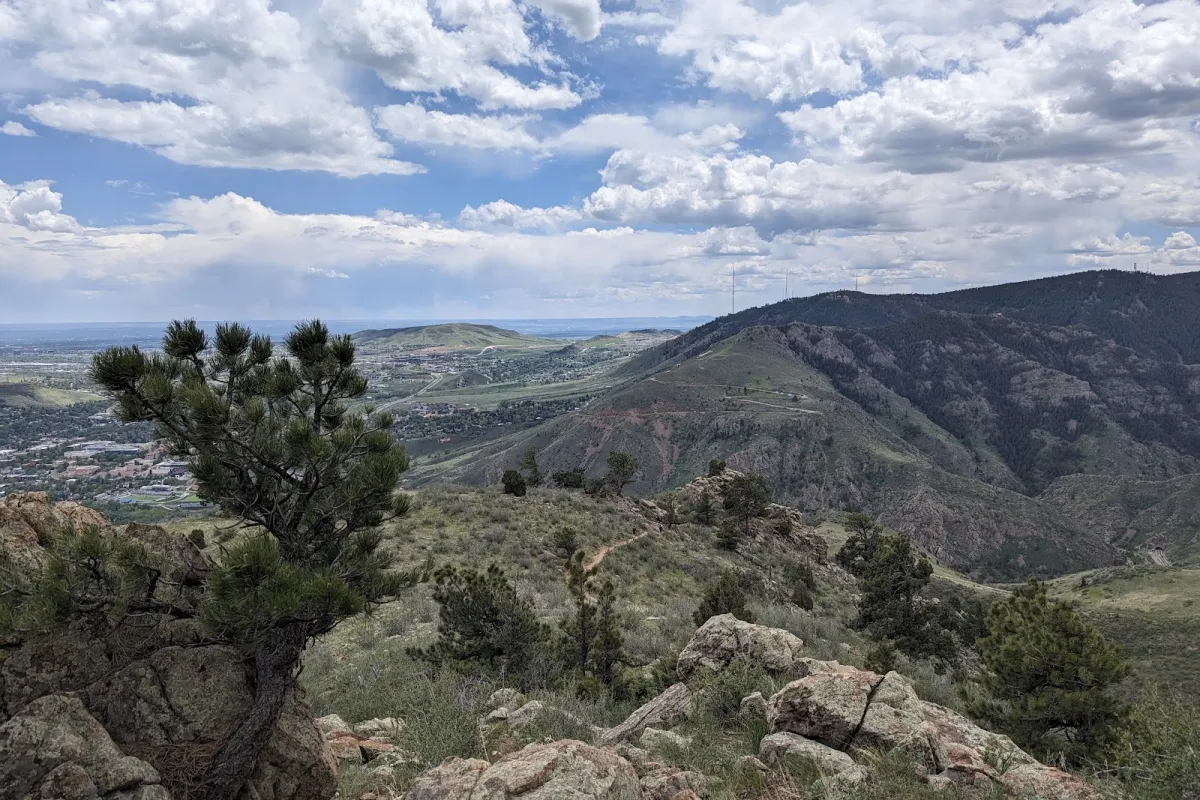 Mount Galbraith Park photo 1
