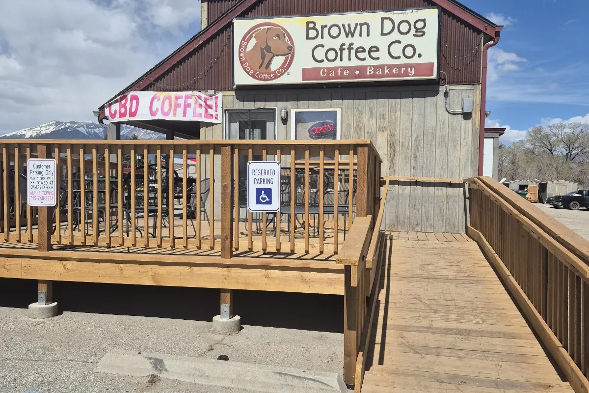 Brown Dog Coffee Company photo 1