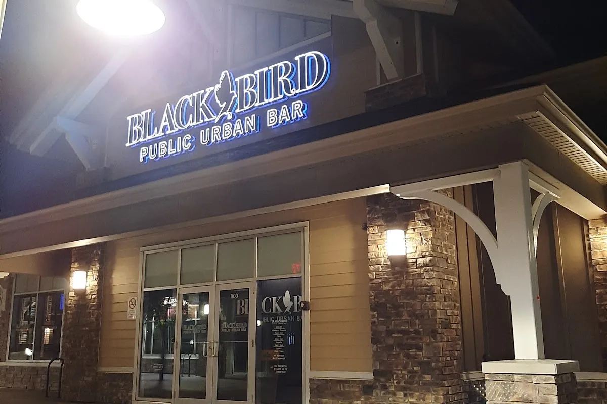 Blackbird Public Urban Bar photo 1