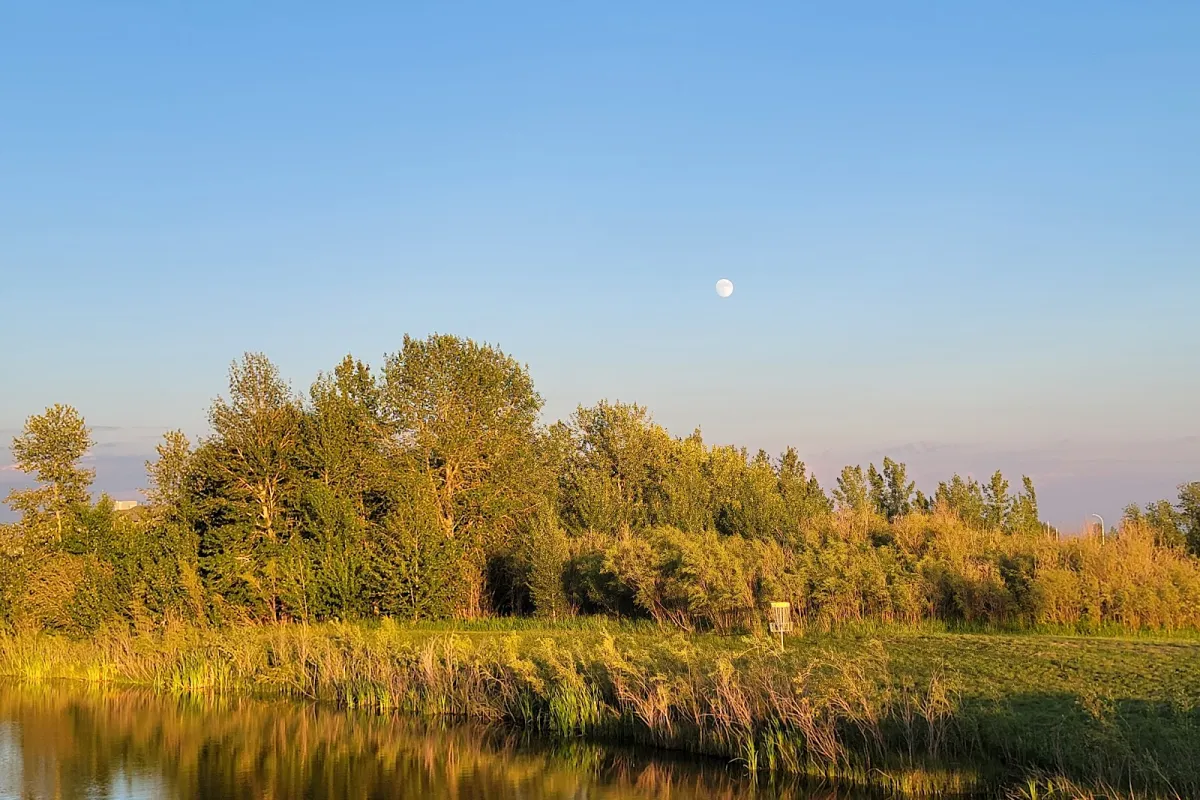 Kinsmen Park photo 1