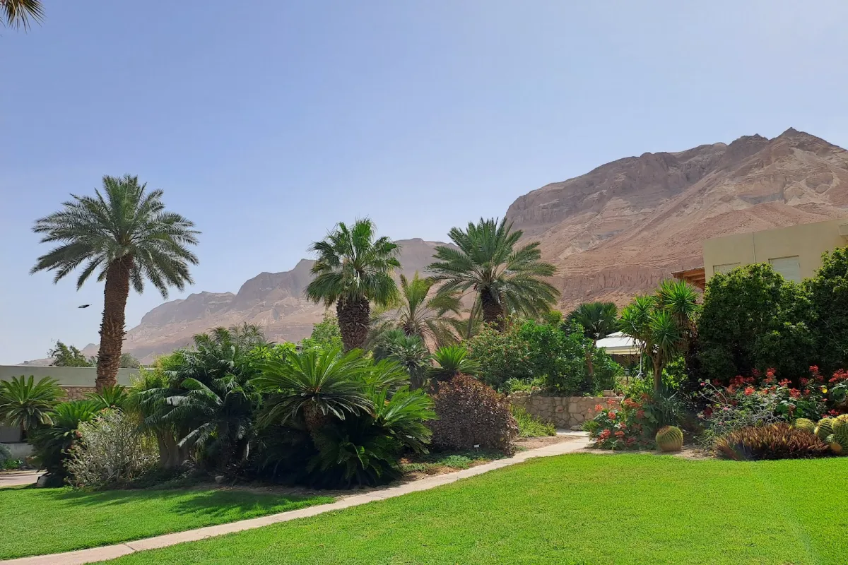 Ein Gedi Botanical Garden photo 1