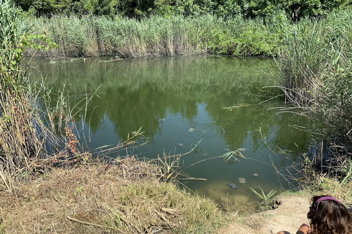 Mavrobara Turtle Lake photo 1