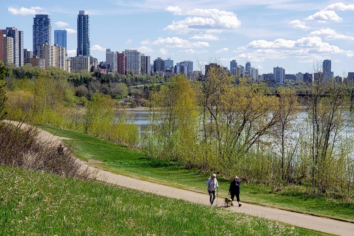 MacKinnon Ravine Park photo 1