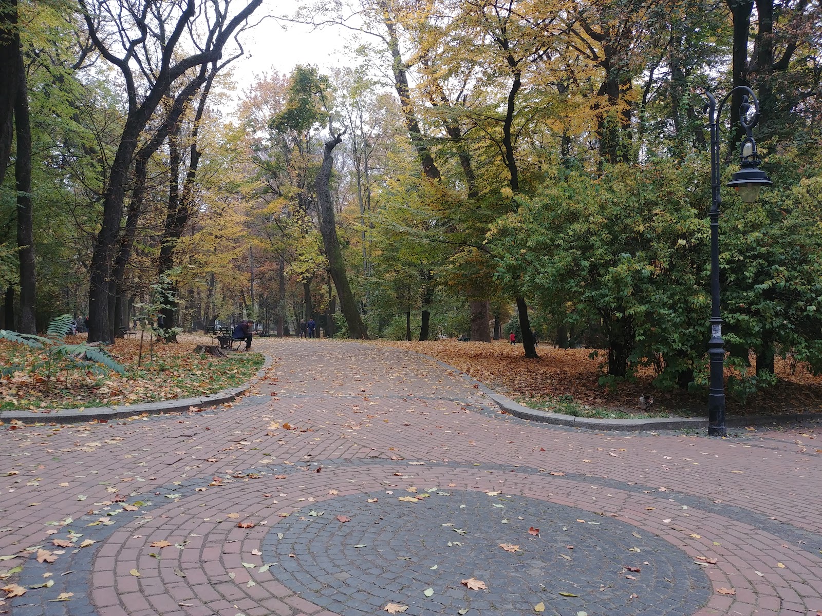 Ivan Franko Park photo 9