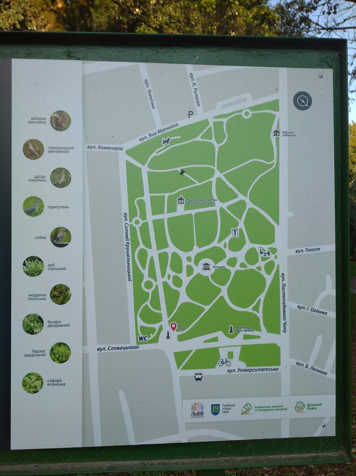 Ivan Franko Park photo 6