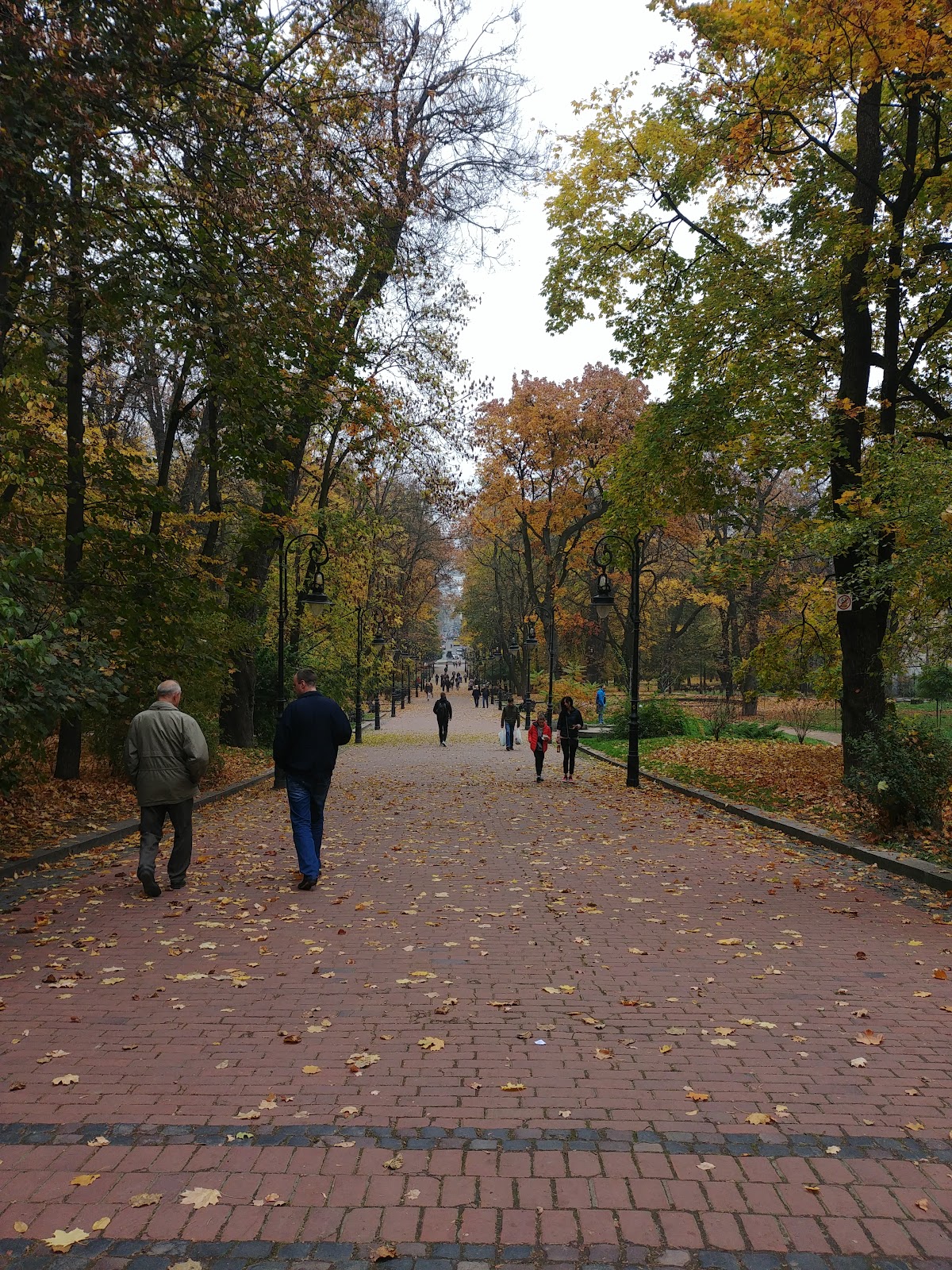 Ivan Franko Park photo 8