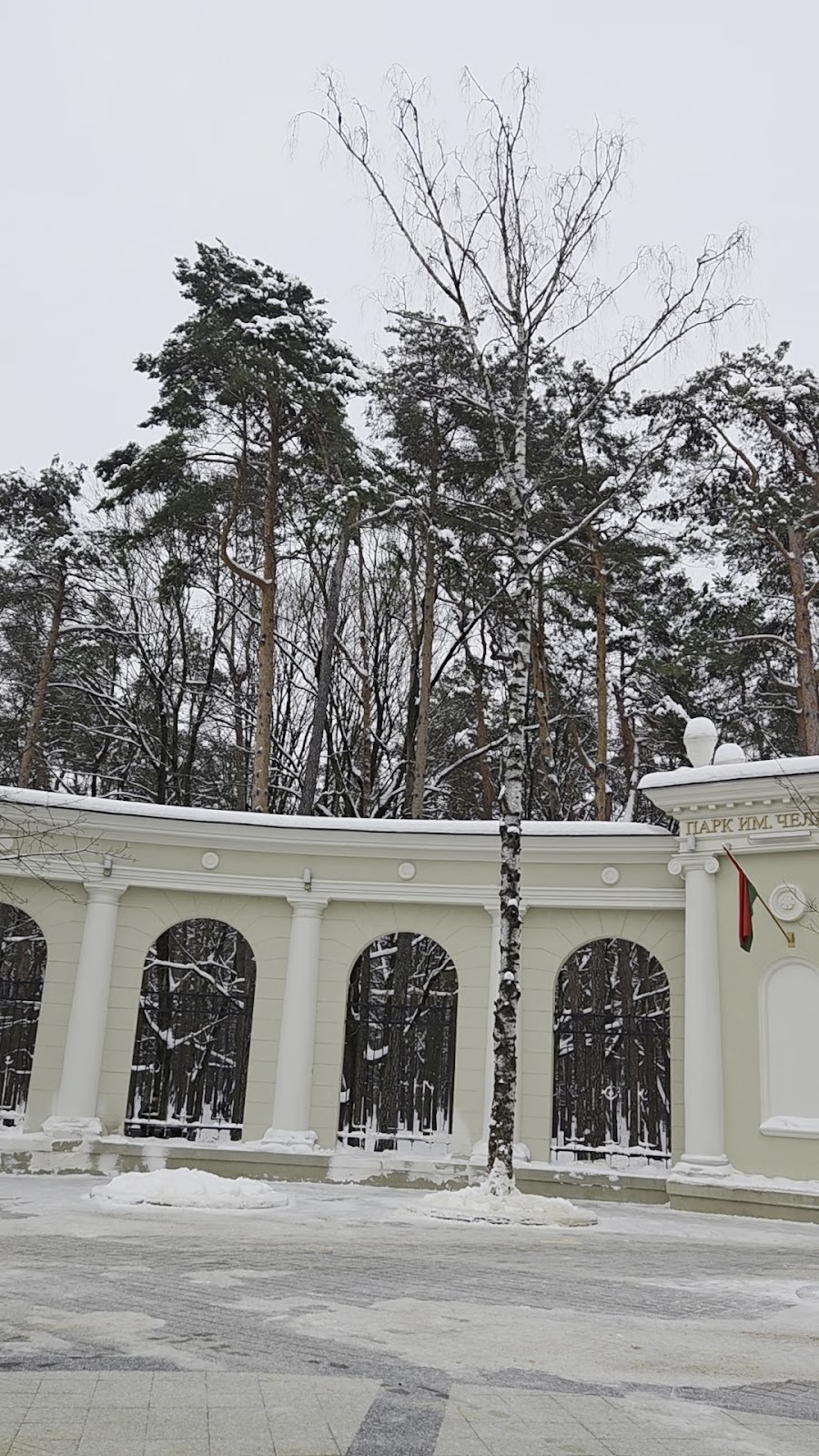 Čaliuskincaŭ Park of Culture and Recreation photo 3