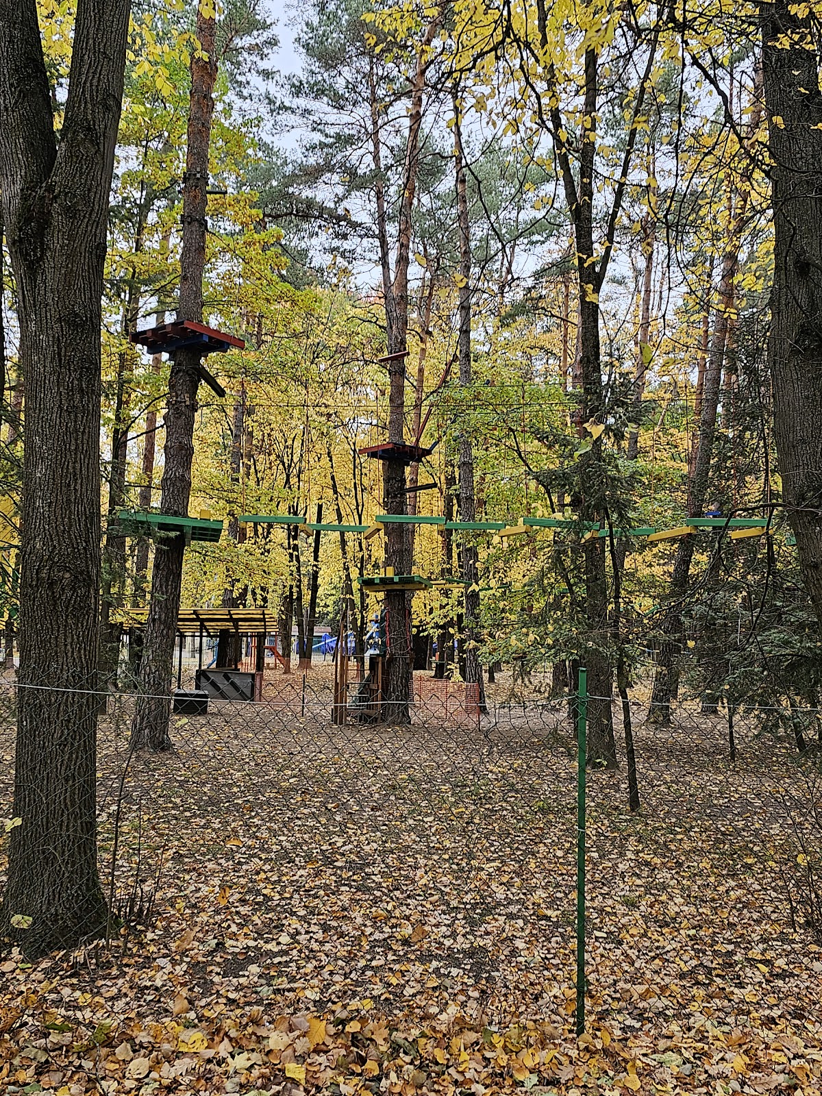 Čaliuskincaŭ Park of Culture and Recreation photo 11
