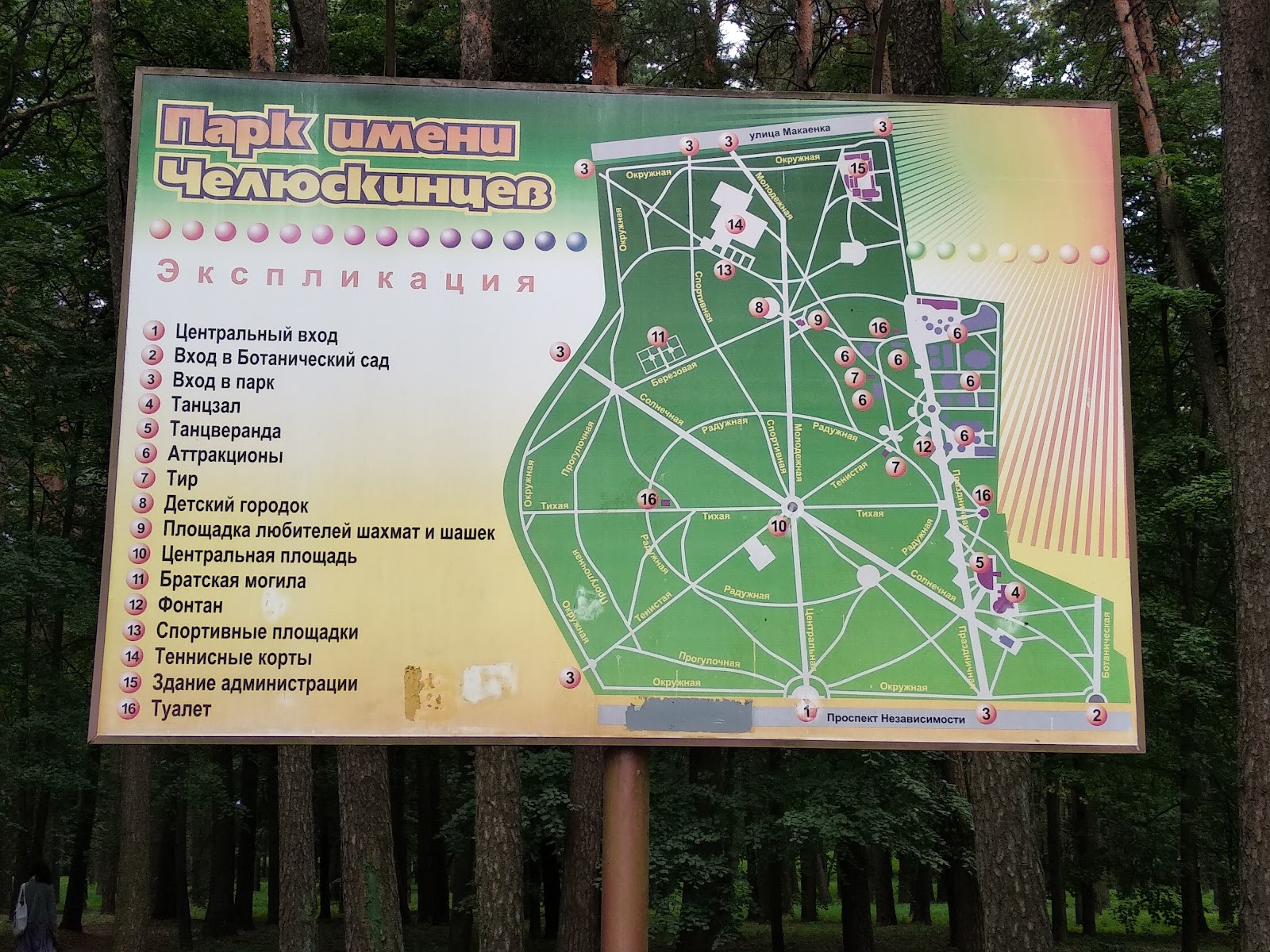 Čaliuskincaŭ Park of Culture and Recreation photo 6