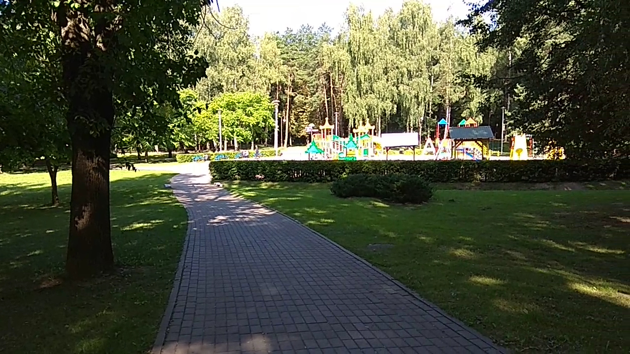 Čaliuskincaŭ Park of Culture and Recreation photo 5