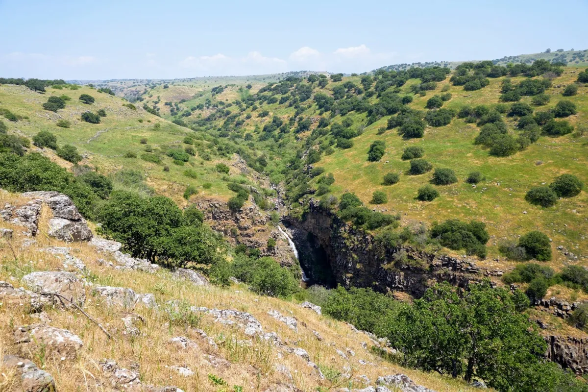Yehudiya Reserve photo 1