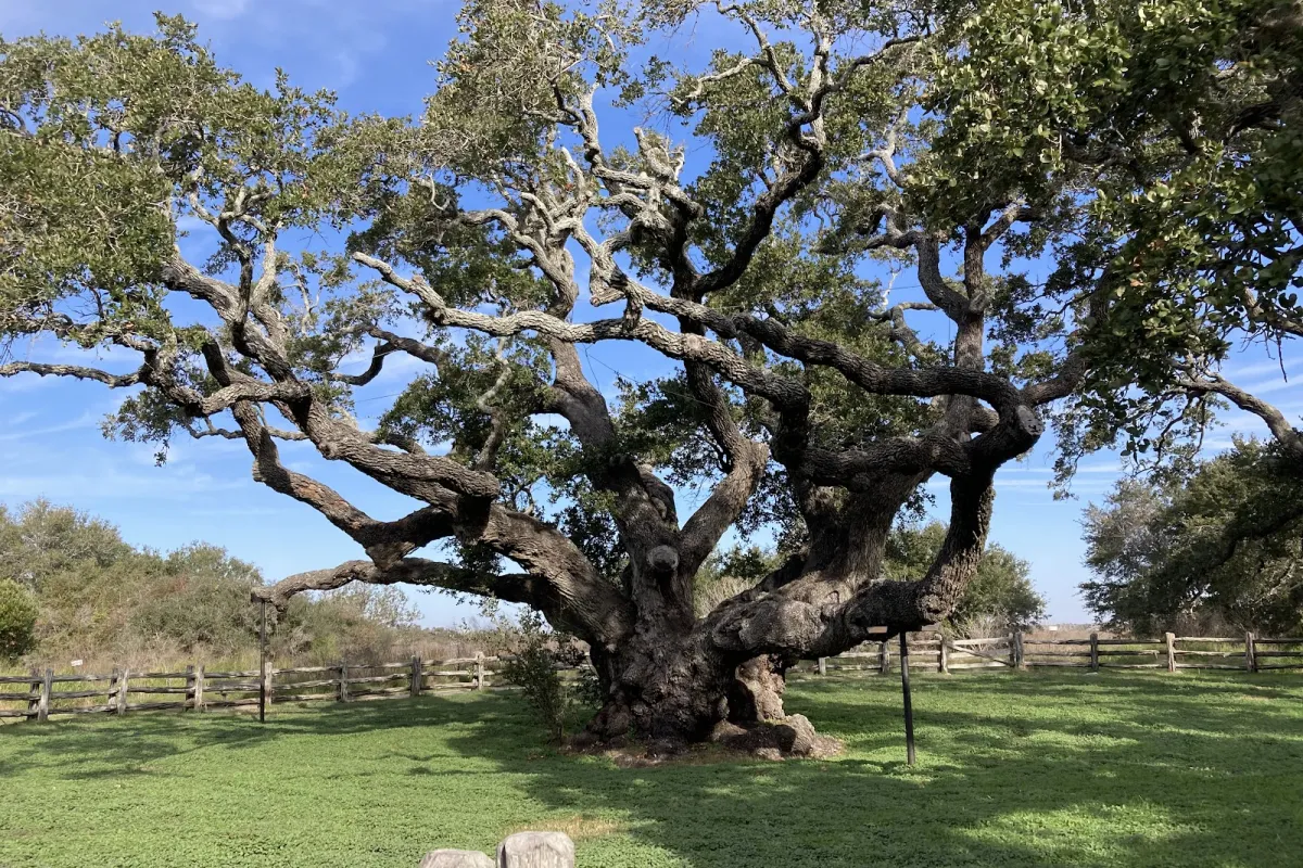 Goose Island State Park photo 1