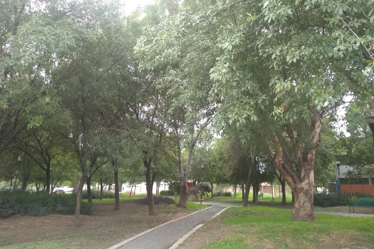 Parque La Primavera photo 1