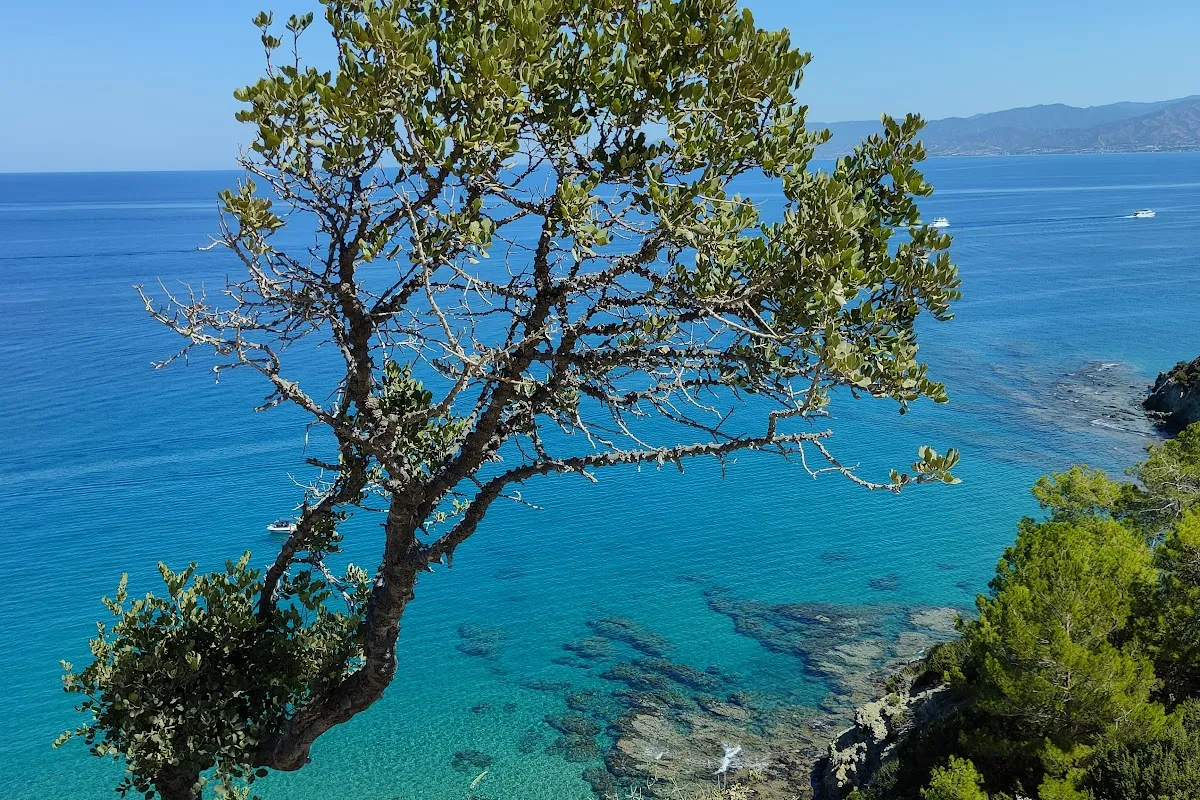 Aphrodite Nature Trail photo 1