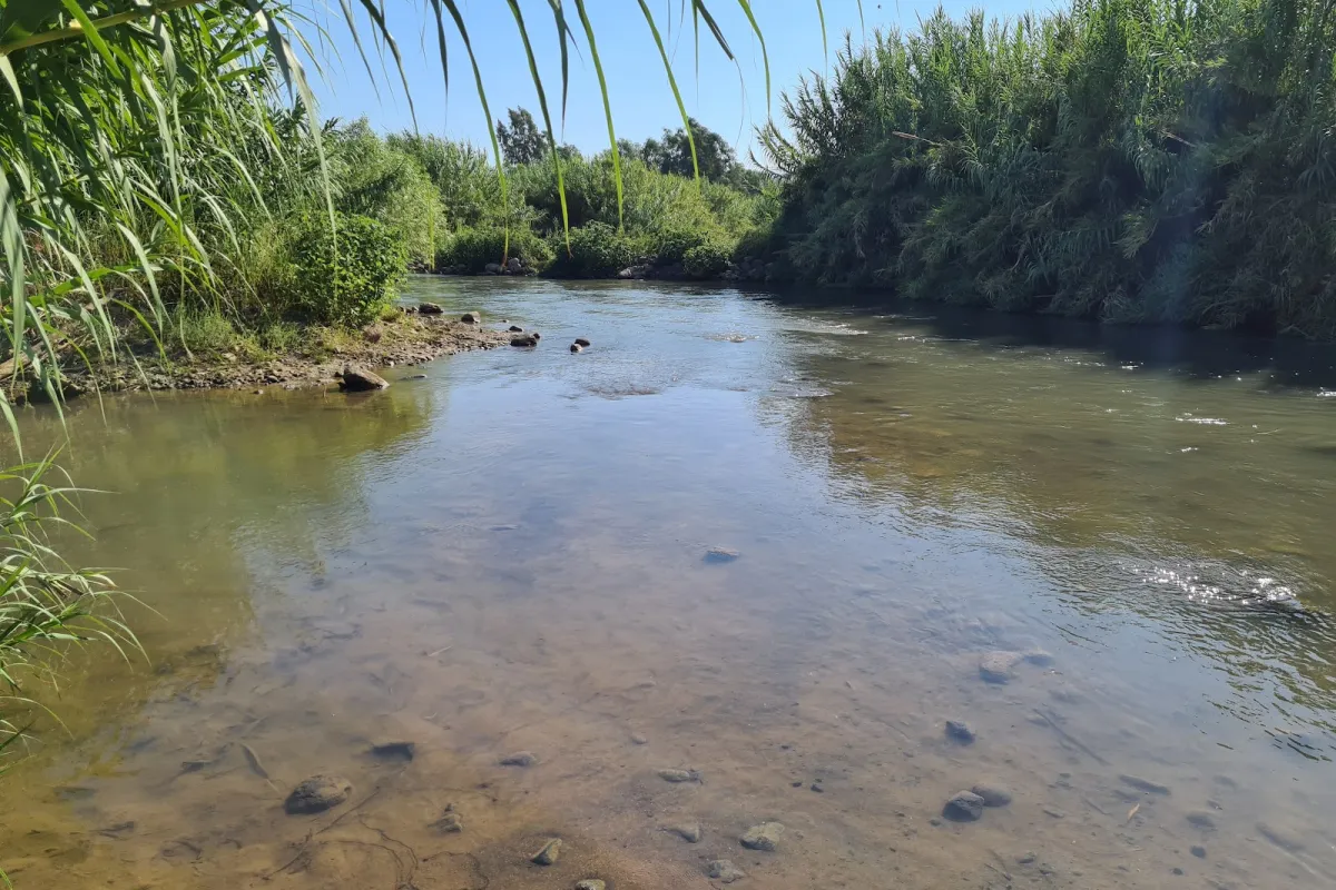 Ha-Yarden Park photo 1