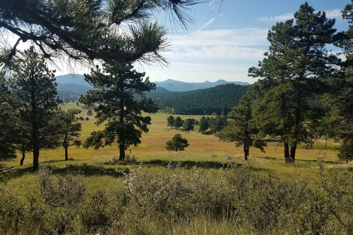 Elk Meadow Park Stagecoach Trailhead photo 1