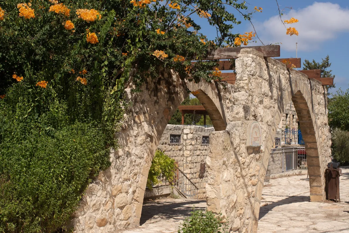 Ein Hod Artist Village photo 1