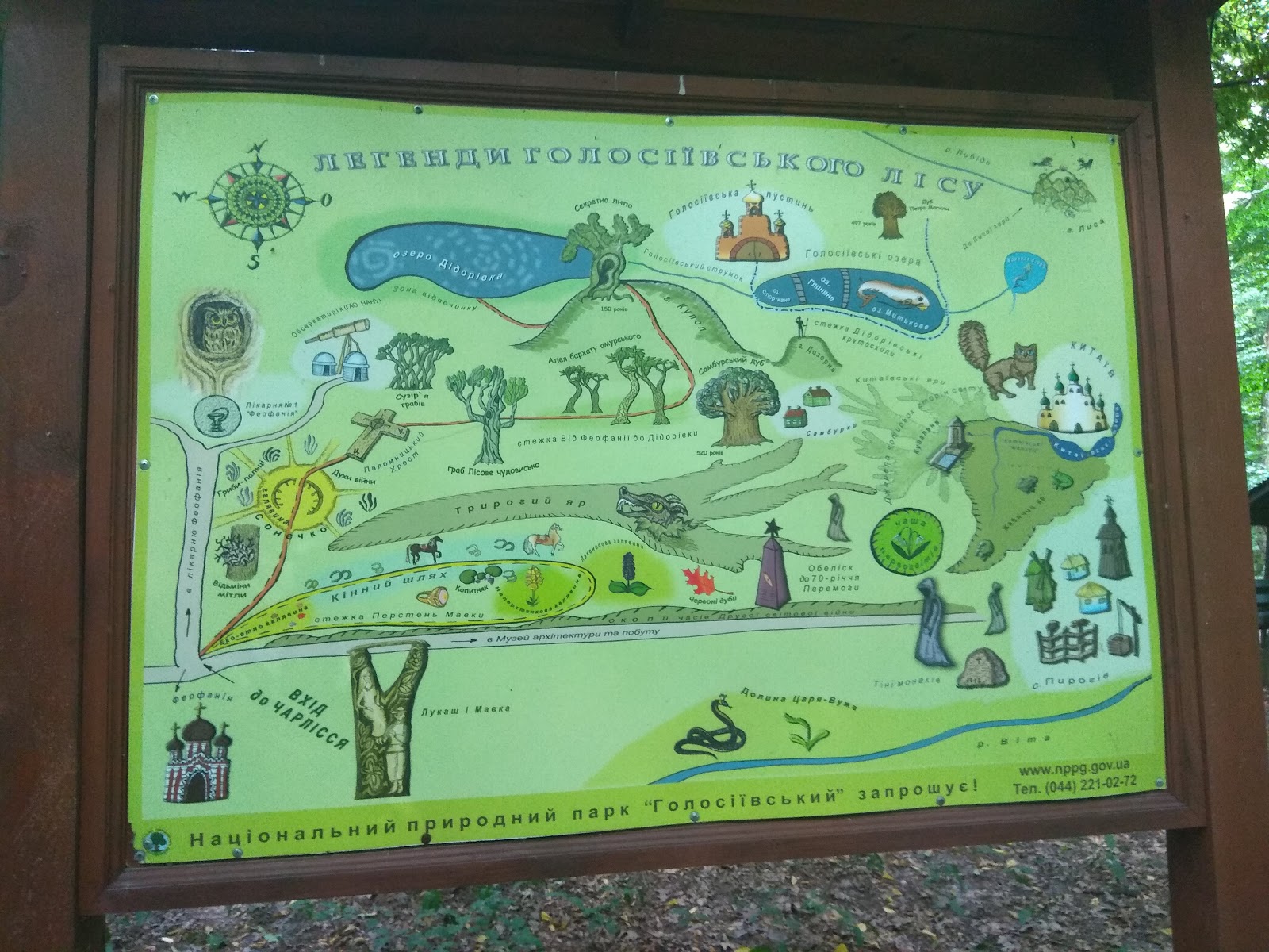 Holosiivskyi National Natural Park photo 4