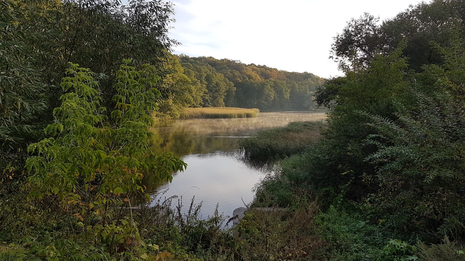 Holosiivskyi National Natural Park photo 8