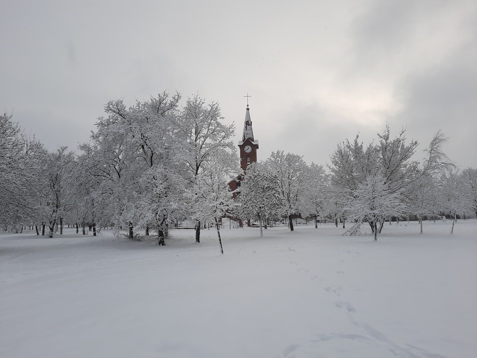 Park of the 60th Anniversary of October Revolution photo 10