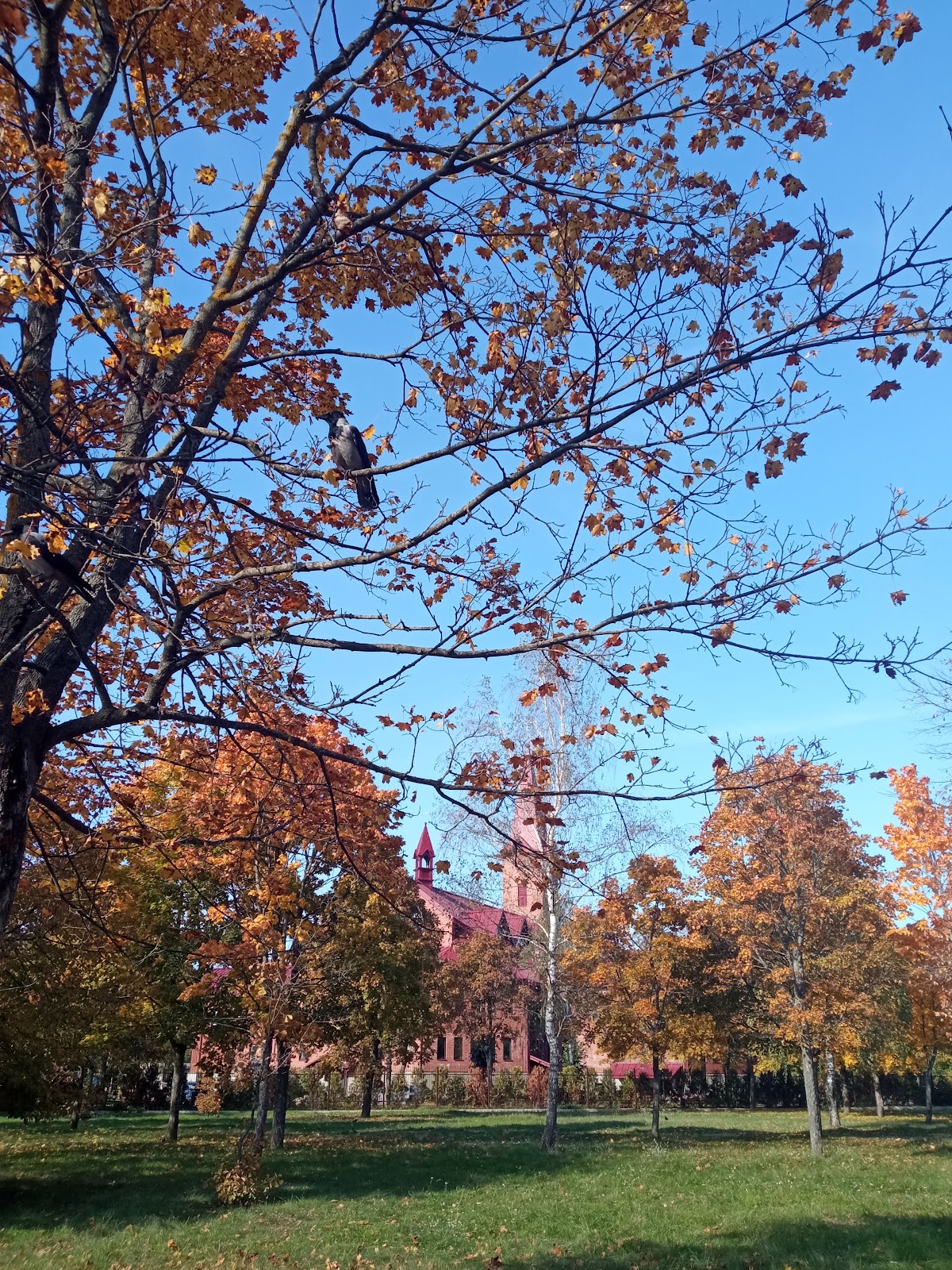 Park of the 60th Anniversary of October Revolution photo 7