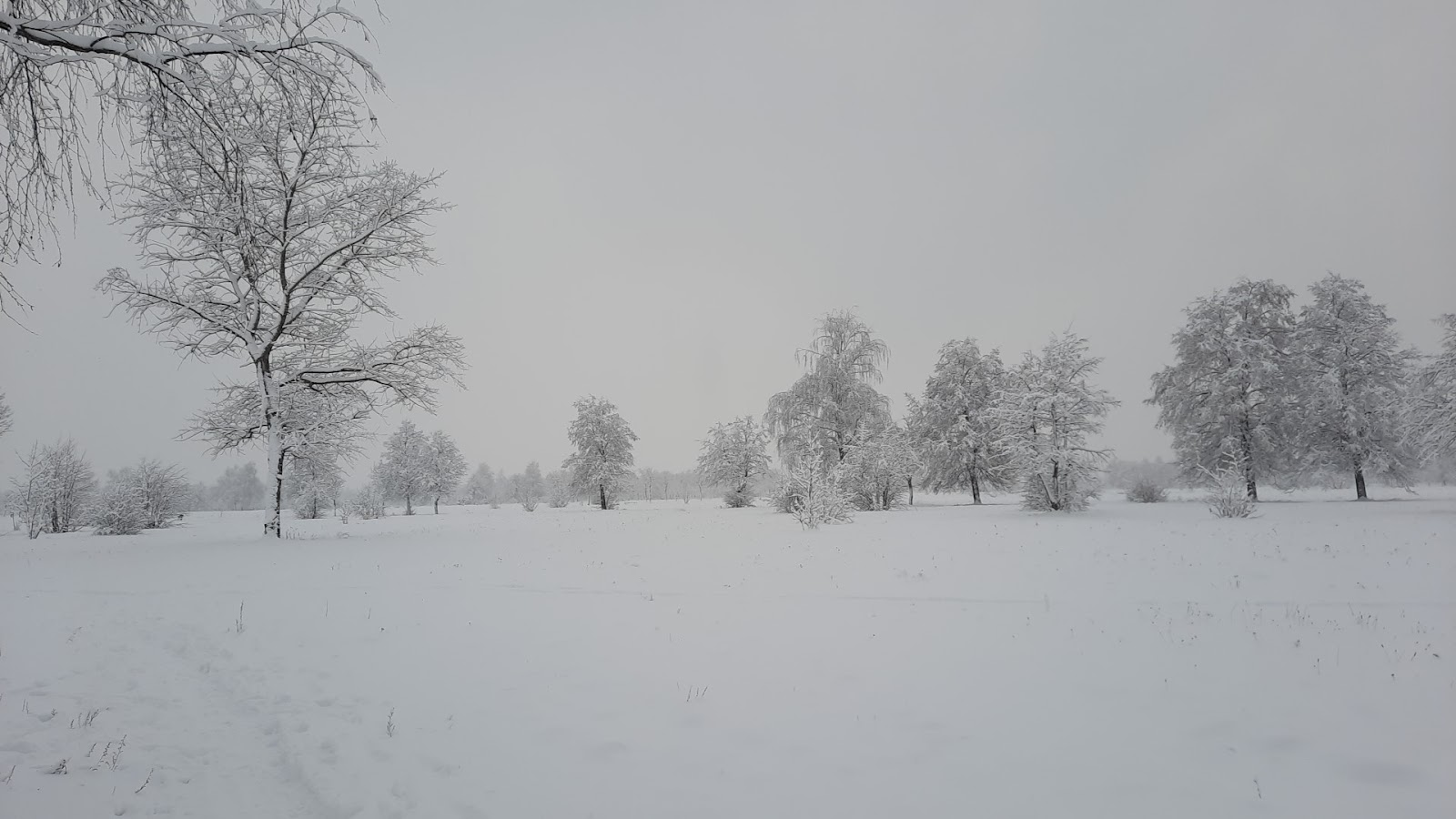 Park of the 60th Anniversary of October Revolution photo 9
