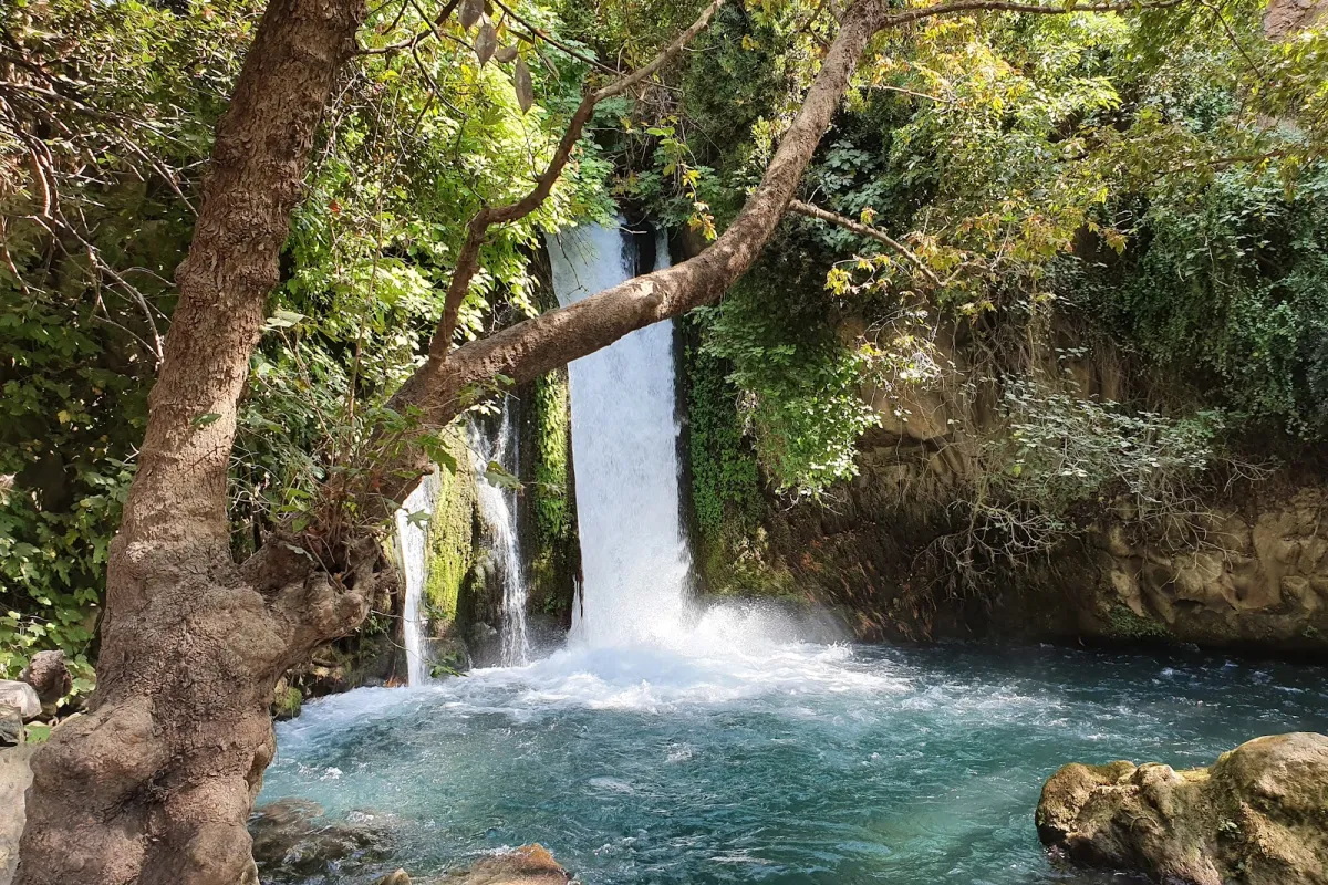 Hermon Stream Nature Reserve photo 1