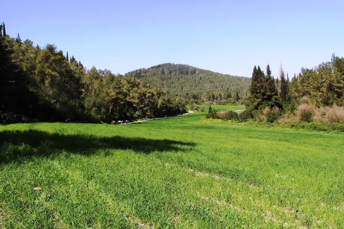 Ramat Menashe Park photo 1