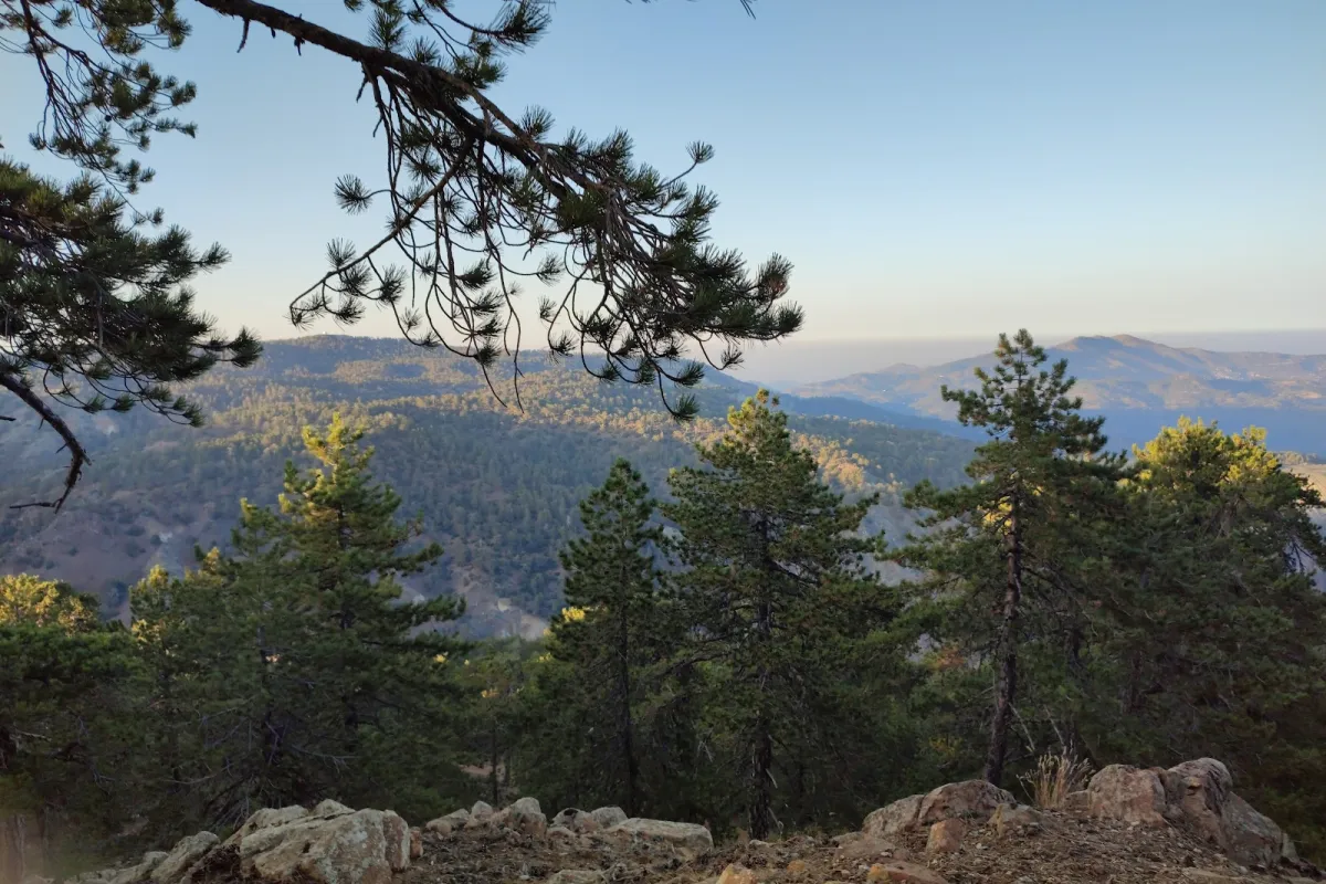 Persephone Hiking Trail photo 1