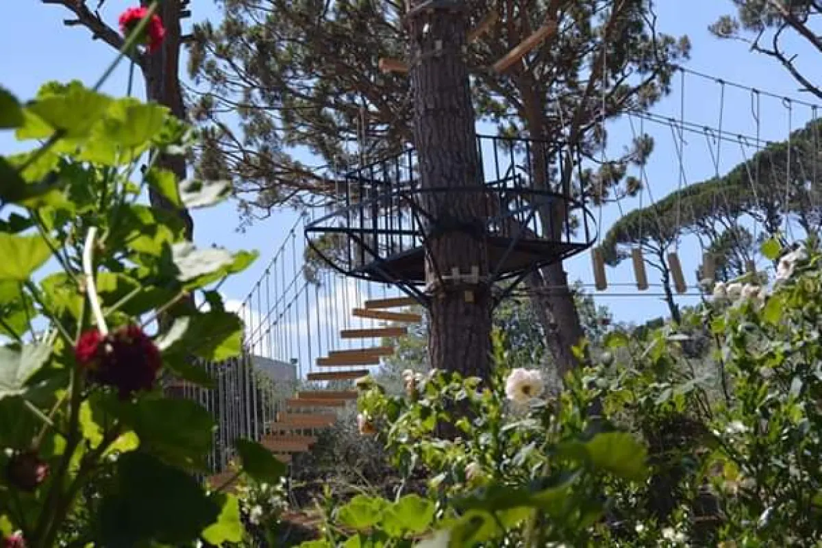 Lamartine park منتزه لامارتين photo 1