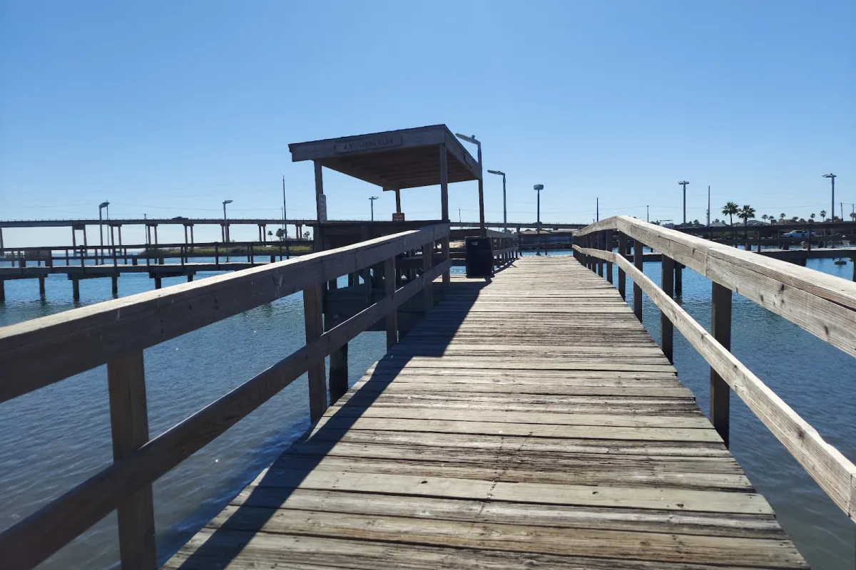 Conn Brown HarborPoint Park photo 1