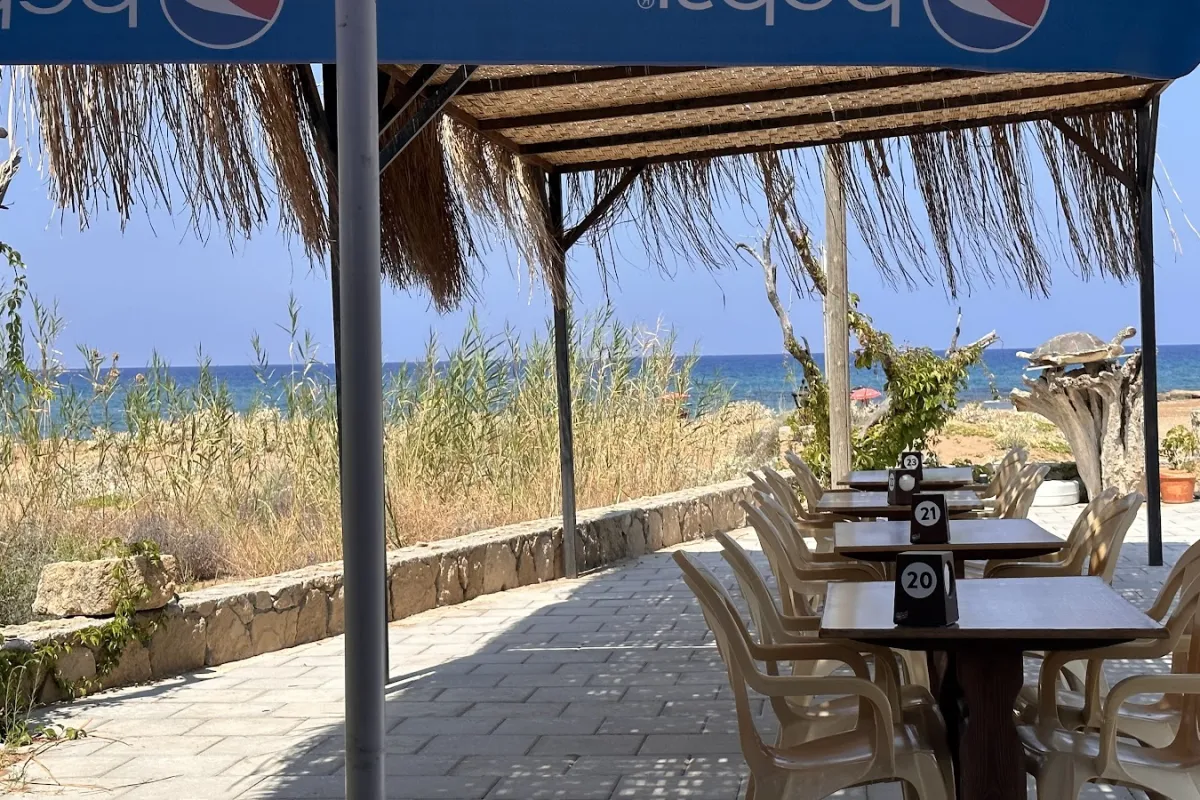Turtle Paradise Restaurant & Bar photo 1