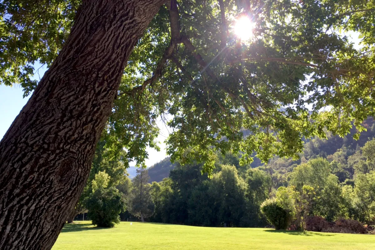 Jolley’s Ranch photo 1