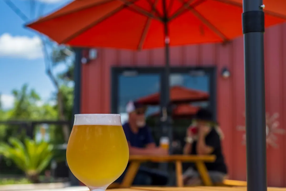 Bronson & Ryder Brewing photo 1