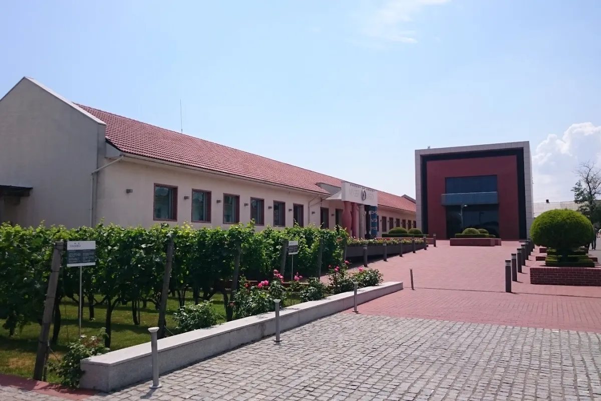 Wine Culture Center Shabo photo 1