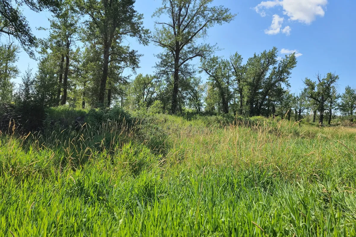 Lafarge Meadows - Fish Creek Provincial Park photo 1