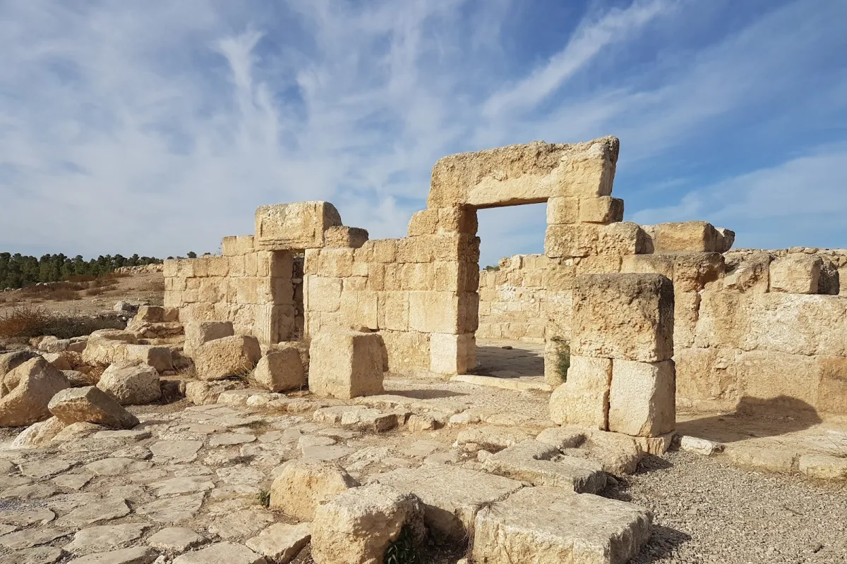 Anim synagogue photo 1