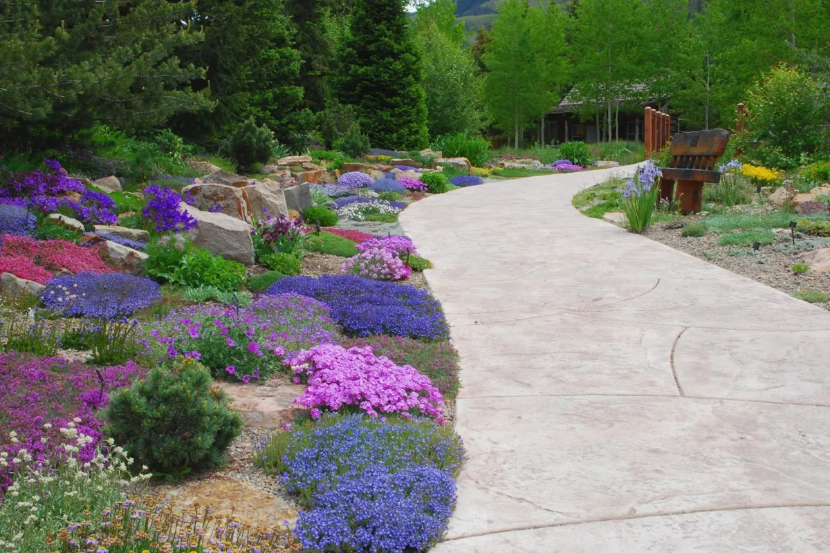 Betty Ford Alpine Gardens photo 1