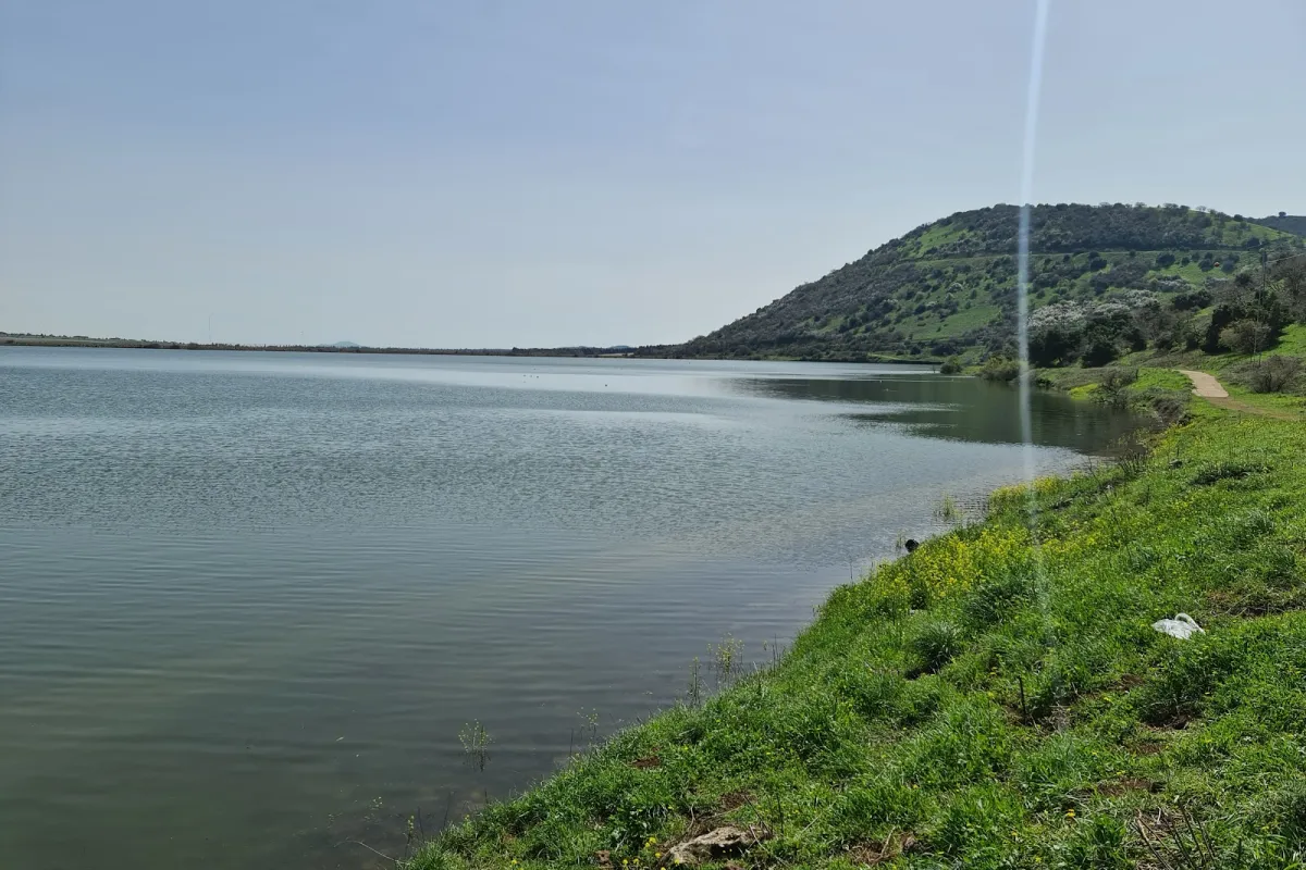 מאגר בנטל photo 1