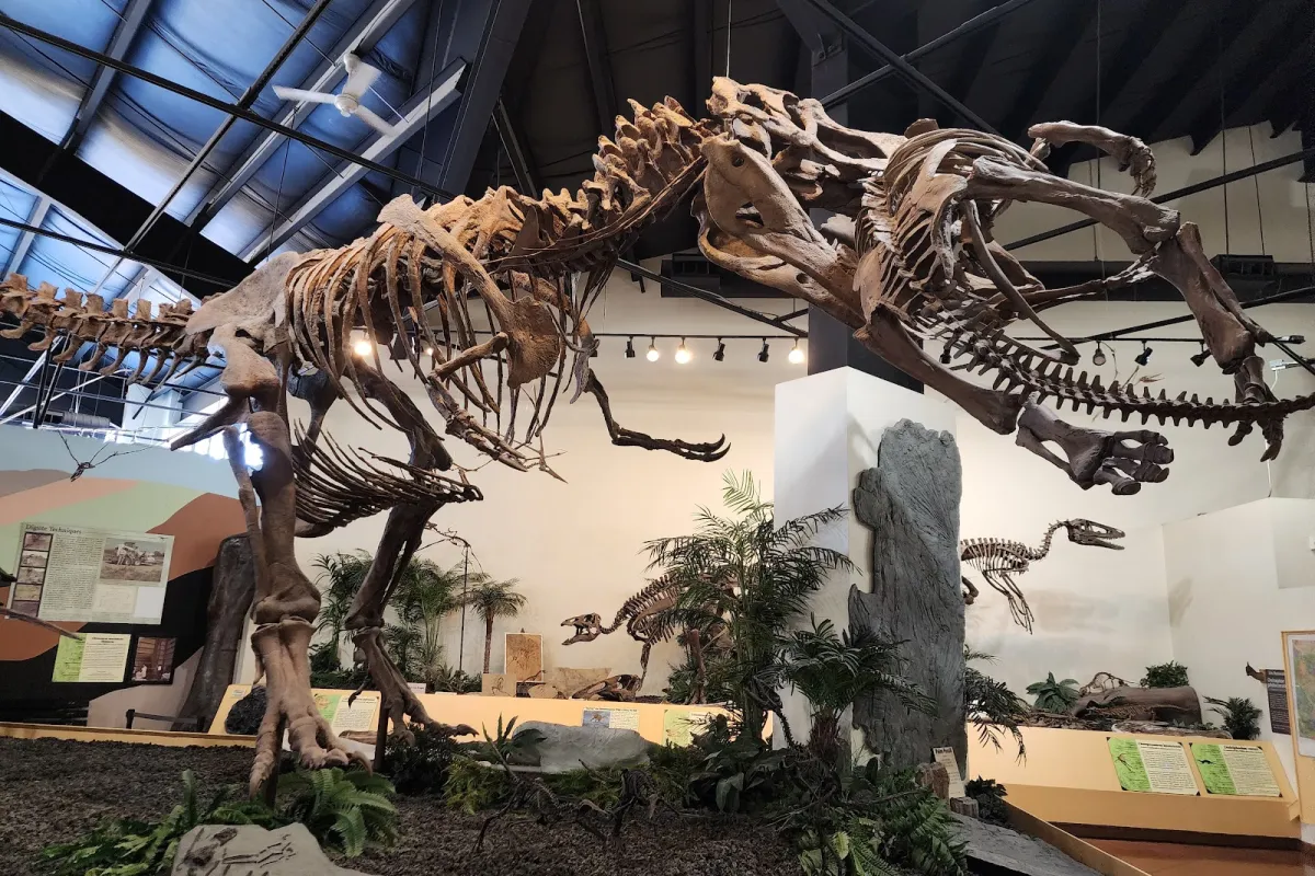 Rocky Mountain Dinosaur Resource Center photo 1