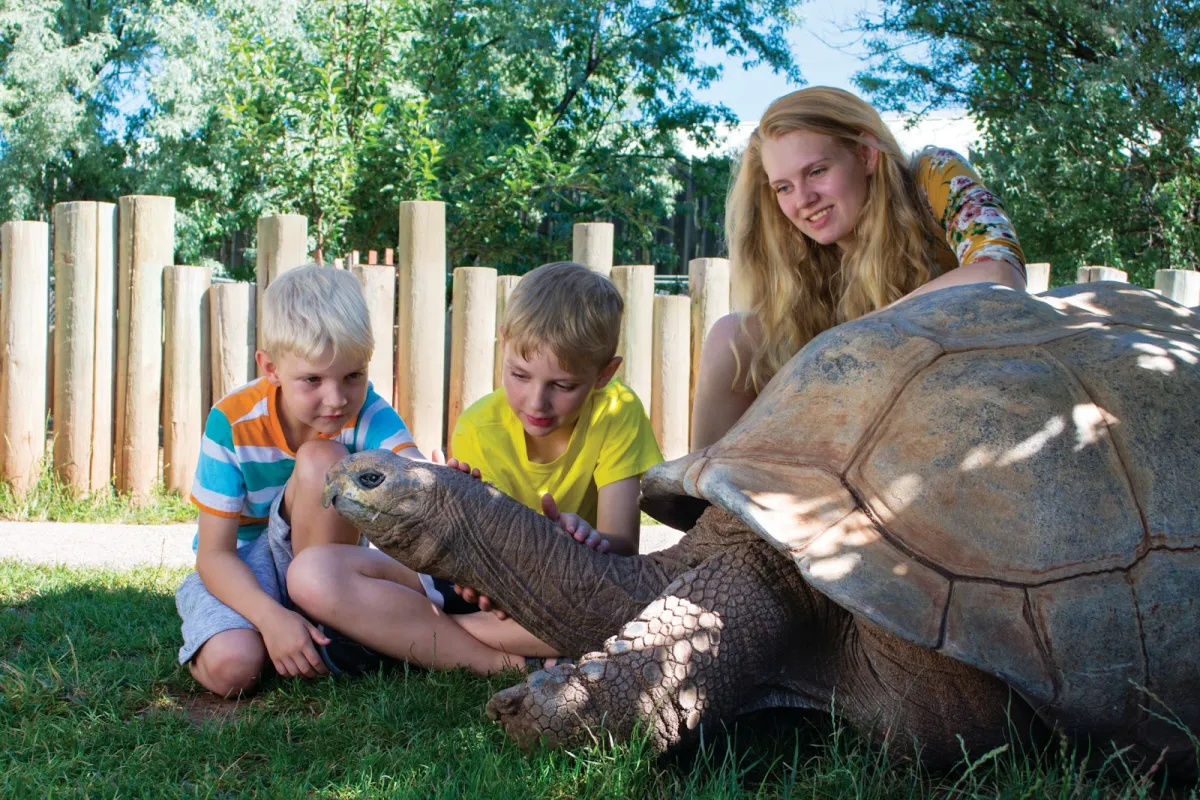Reptile Gardens photo 1